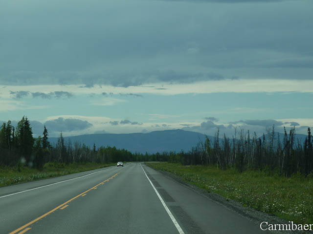 www.carmibaer.de_reisebericht_alaska-226.jpg www.carmibaer.de_reisebericht_alaska-226.jpg