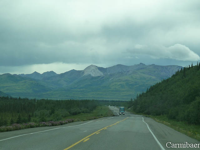 www.carmibaer.de_reisebericht_alaska-228.jpg www.carmibaer.de_reisebericht_alaska-228.jpg
