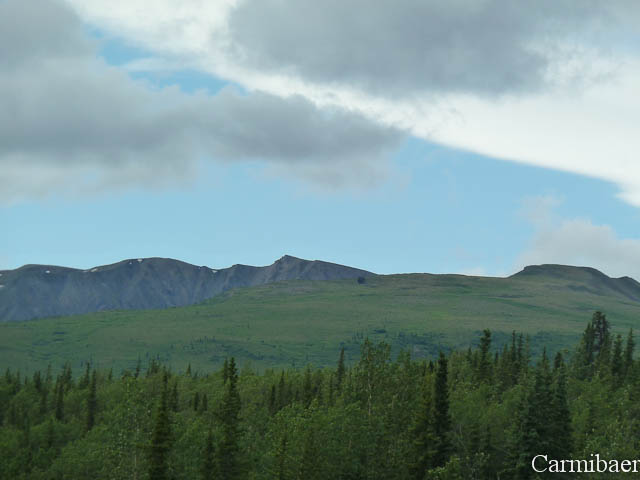 www.carmibaer.de_reisebericht_alaska-236.jpg www.carmibaer.de_reisebericht_alaska-236.jpg
