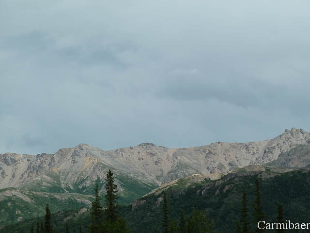 www.carmibaer.de_reisebericht_alaska-237.jpg www.carmibaer.de_reisebericht_alaska-237.jpg