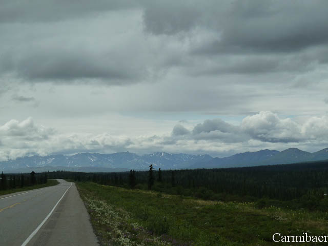 www.carmibaer.de_reisebericht_alaska-240.jpg www.carmibaer.de_reisebericht_alaska-240.jpg
