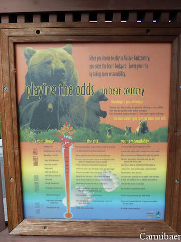 www.carmibaer.de_reisebericht_alaska-245.jpg www.carmibaer.de_reisebericht_alaska-245.jpg