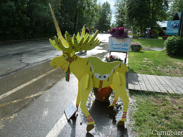 www.carmibaer.de_reisebericht_alaska-251.jpg www.carmibaer.de_reisebericht_alaska-251.jpg