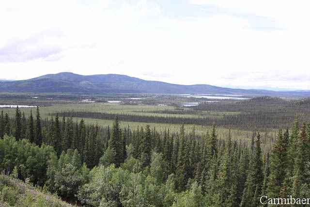 www.carmibaer.de_reisebericht_alaska-795.jpg www.carmibaer.de_reisebericht_alaska-795.jpg
