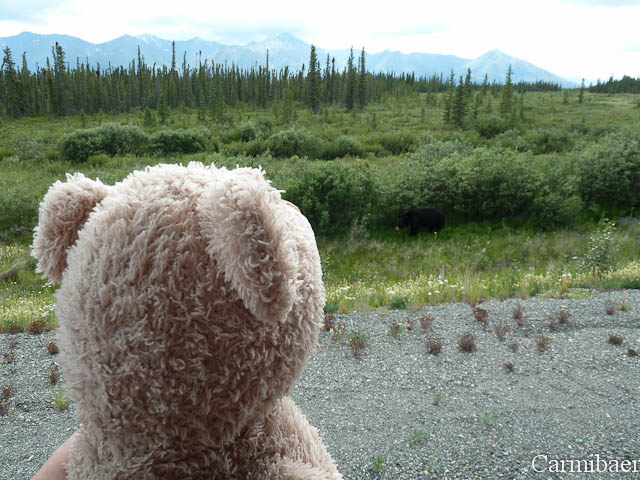 www.carmibaer.de_reisebericht_alaska-813.jpg www.carmibaer.de_reisebericht_alaska-813.jpg