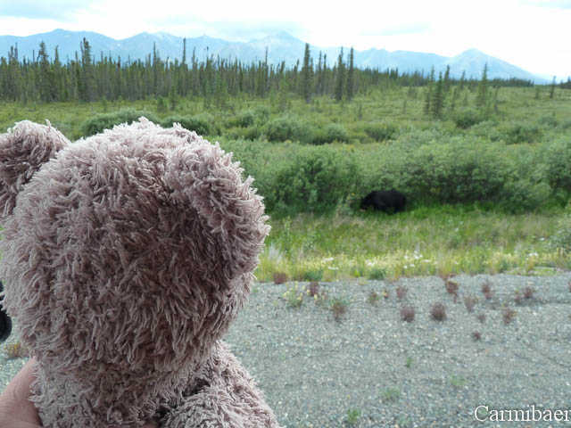 www.carmibaer.de_reisebericht_alaska-814.jpg www.carmibaer.de_reisebericht_alaska-814.jpg