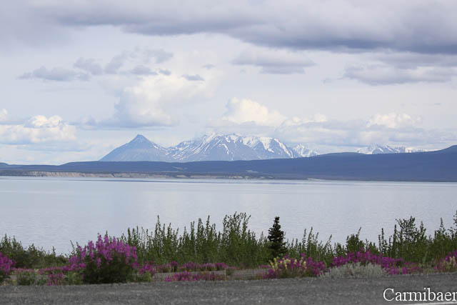 www.carmibaer.de_reisebericht_alaska-819.jpg www.carmibaer.de_reisebericht_alaska-819.jpg