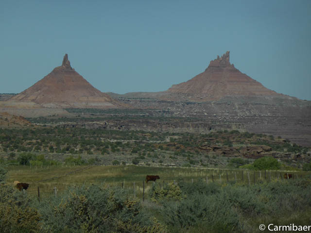 www.carmibaer.de_reisebericht_usa2014-541.jpg www.carmibaer.de_reisebericht_usa2014-541.jpg