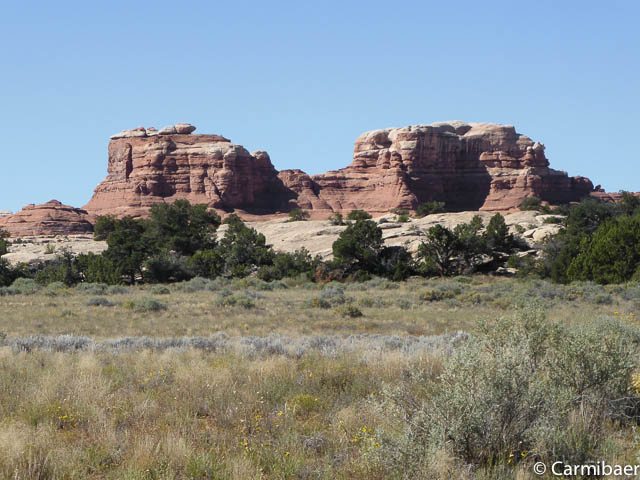 www.carmibaer.de_reisebericht_usa2014-548.jpg www.carmibaer.de_reisebericht_usa2014-548.jpg