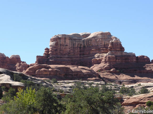 www.carmibaer.de_reisebericht_usa2014-559.jpg www.carmibaer.de_reisebericht_usa2014-559.jpg