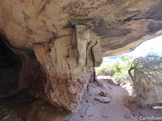 www.carmibaer.de_reisebericht_usa2014-563.jpg www.carmibaer.de_reisebericht_usa2014-563.jpg