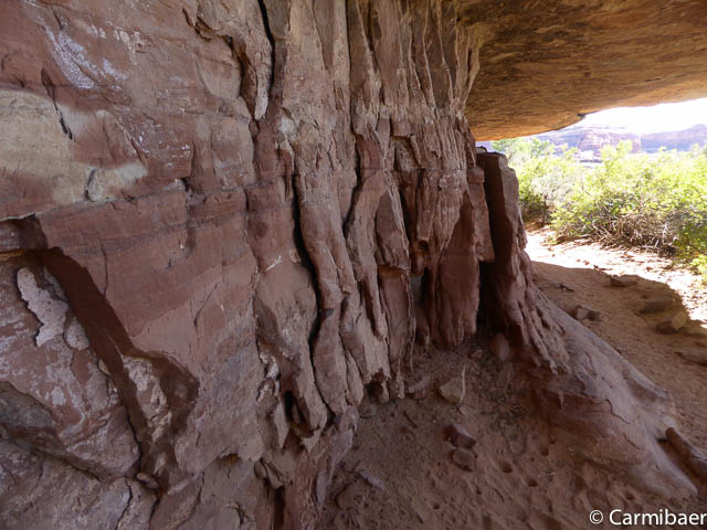 www.carmibaer.de_reisebericht_usa2014-567.jpg www.carmibaer.de_reisebericht_usa2014-567.jpg